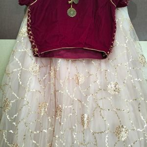 Brand New Lehenga Choli