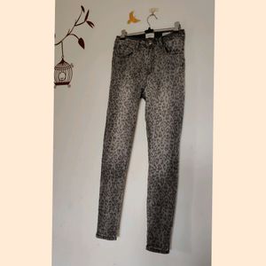 Imported Animal Print pant