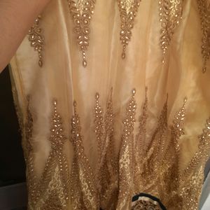 Lehenga(coins Or Swap Accepted)