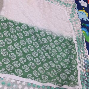 Half Green And White Saree