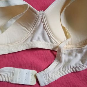 Padded Bra (Skin)