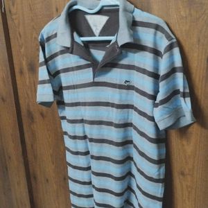 Blue Medium Size Men T-shirt