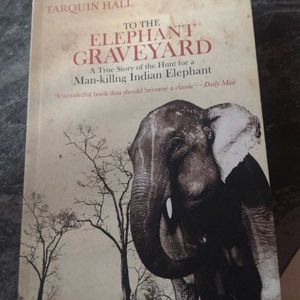 To the elephant Graveyard