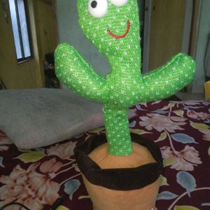 Dancing Cactus New