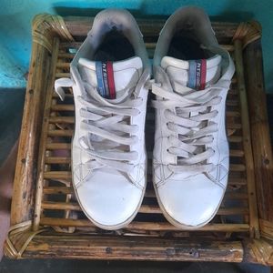 PUMA CASUAL SHOE WITH BOX