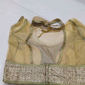 Beigh Net Blouse