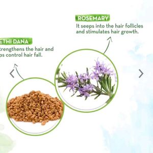 Mamaearth Rosemary Shampoo