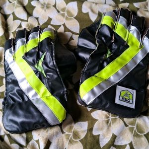 A Most Comfortable Wicket Keeping Gloves