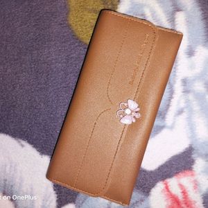 Brown Clutch Wallet