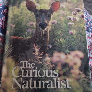 The Curious Naturalist