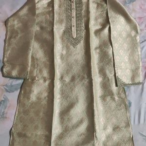 Elegant Pista Green Kurta For Men