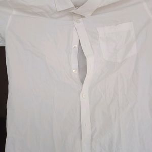 Men's Shirts