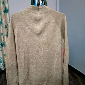 Turtle Neck Shimmery Sweater