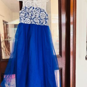 Vintage Blue White Tulle Gown Party Dress