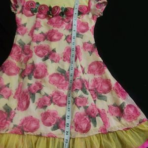 Beautiful Dress Rose Printed