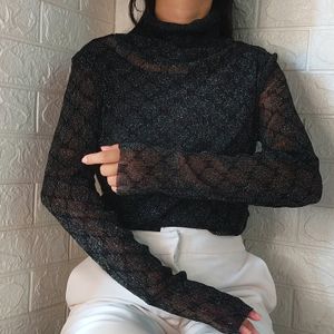 Shimmering Long  Tops & Turtle Neck