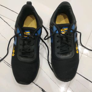 Sports Shoes (Campus)