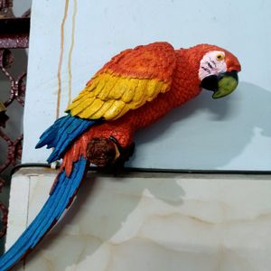 ❣️ Parrot