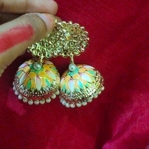 Multi Colour Earings