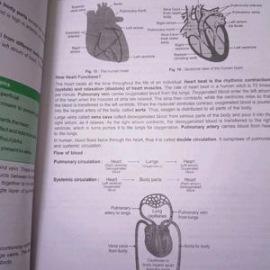 Biology Science Module I Class X