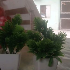 Artificial Plants Set Of 2