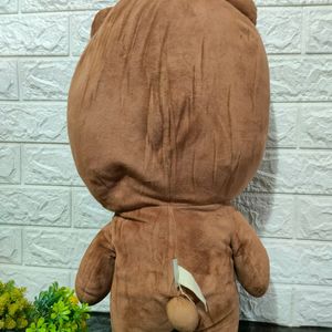 Brown Teddy Bear 🧸