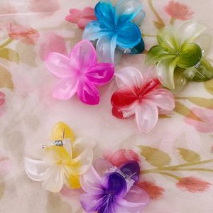 Bloom with Beauty: Vibrant Flower Hair Clips