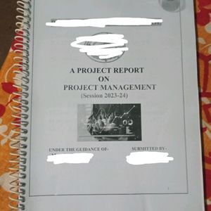 Project Report File For Computer Application