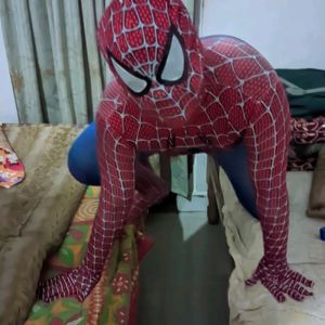 Spiderman Cosplay