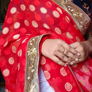 Very Gorgeous Red And White Coloured Chiffon Saree