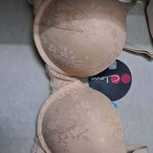 CLOVIA PUSH-UP BRA