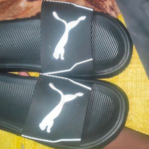 Man Slippers ( PUMA )