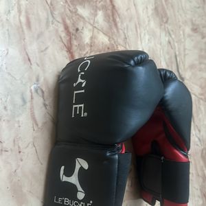 Le Buckle Training Boxing Gloves