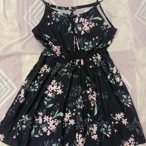 Women Black & Pink Floral Dress