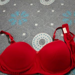 Padded Brand New Bra 38/95