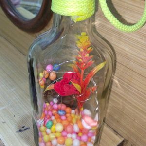 Bottle Home Decoration With Lite