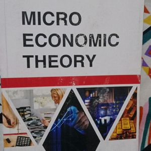 Micro Economics Theory Book