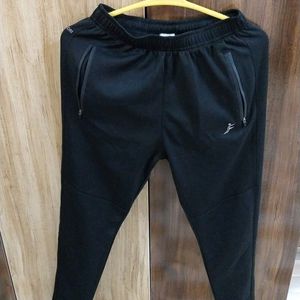 active wear pant