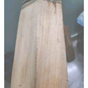 Willow Cricket Bat