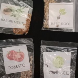 5 Vegatble Seeds
