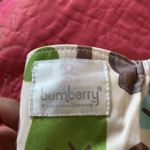 Reusable Diaper - Bumberry