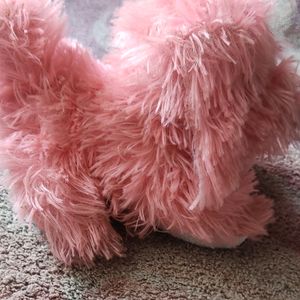 Dog ( Maltese Shih Tzu ) Cute Soft Toy.