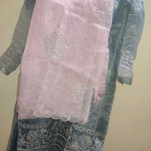 New Organza Pakistani Suit