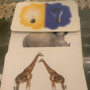 Crazy Flash Cards For Young Kids