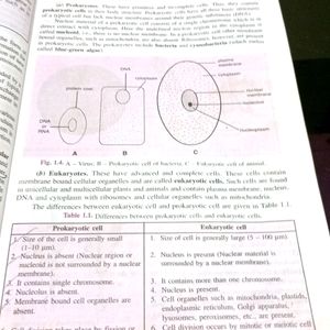 Biology For Class 9