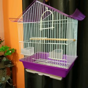 Bird Cage New