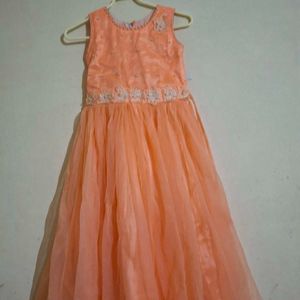 Light Orange Ethnic Gown.