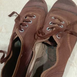 Brown Canvas Shoes