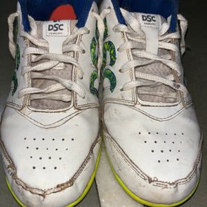 DSC Cricket Shoes Original