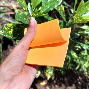 Aesthetic Orange  Sticky Notes 🍊